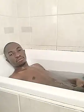 Breezyvikkyn Webbikameraesitys