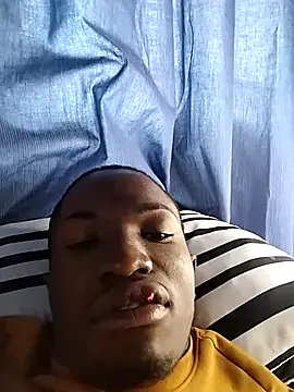 Breezyvikkyn Webbikameraesitys