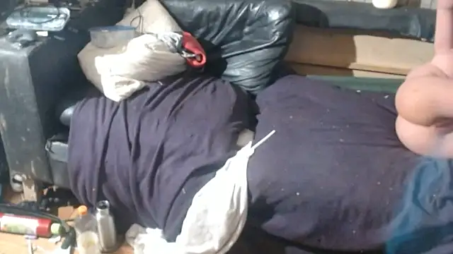 BISLETJE1980 Webcamshow