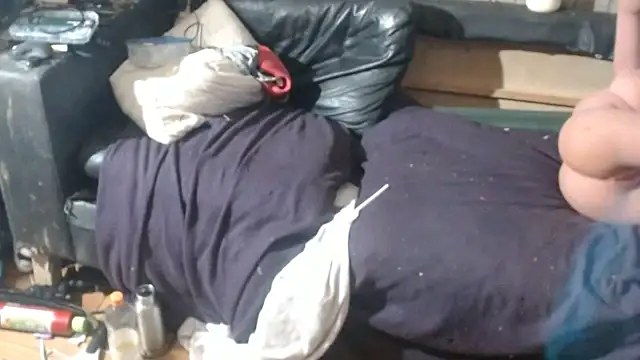 BISLETJE1980 Webcam Show