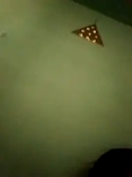 Webkamerová show telugugrli