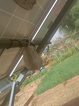 Вебкам-шоу mastmalai