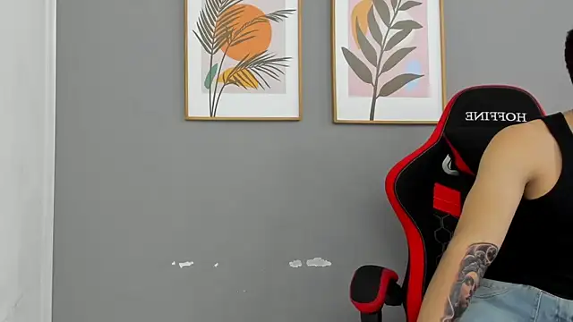 הופעת וובקאם של Santana_maximo