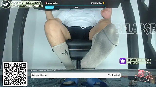 Pertunjukan Kamera Web alphacashmaster8