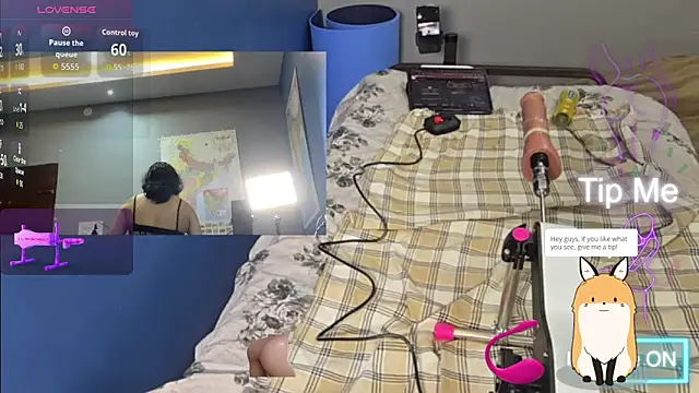 Cockytransn Webbikameraesitys