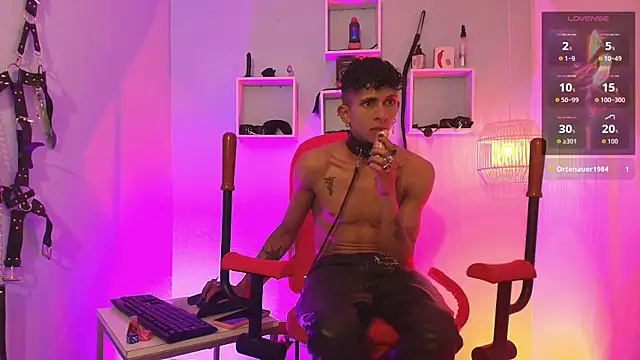 Show webcam de Maximoking26