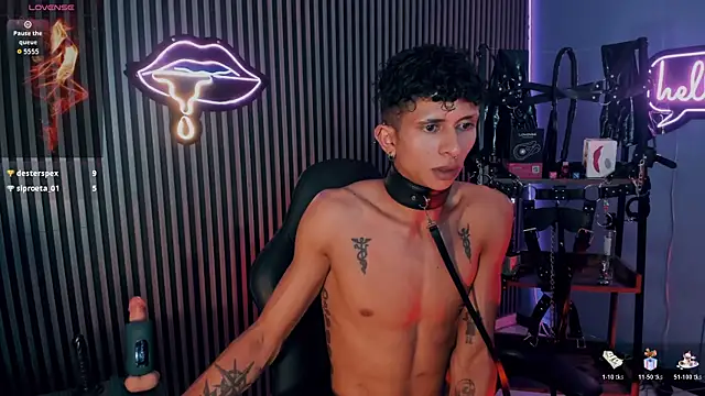 Maximoking26n Webbikameraesitys