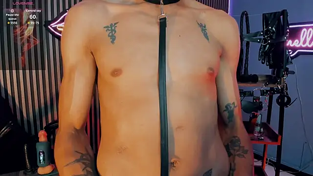 Show webcam de Maximoking26