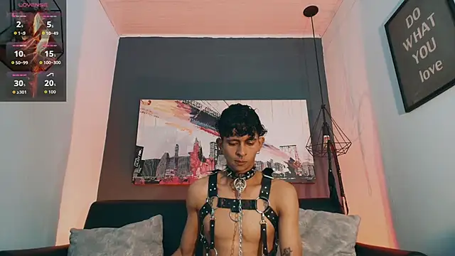 הופעת וובקאם של Maximoking26