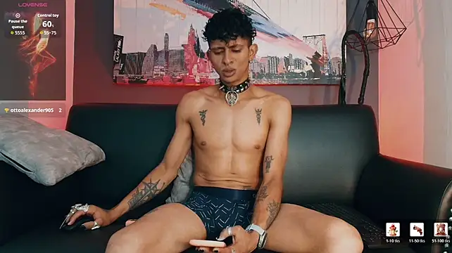 Maximoking26のウェブカメラショー