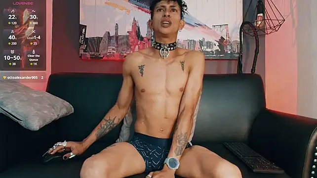 Show webcam de Maximoking26