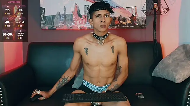 הופעת וובקאם של Maximoking26