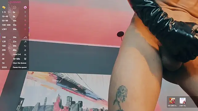 הופעת וובקאם של Maximoking26