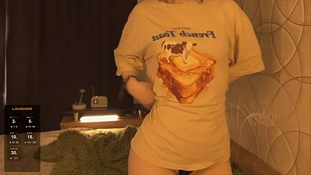 SinSpiritsのウェブカメラショー