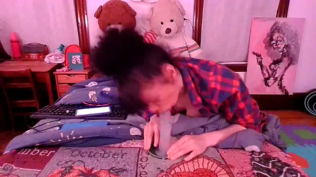 Show webcam de Professorhushh