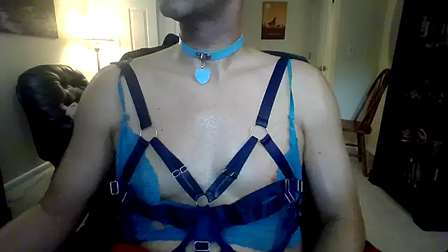 BitchBoy41 Show Webcam
