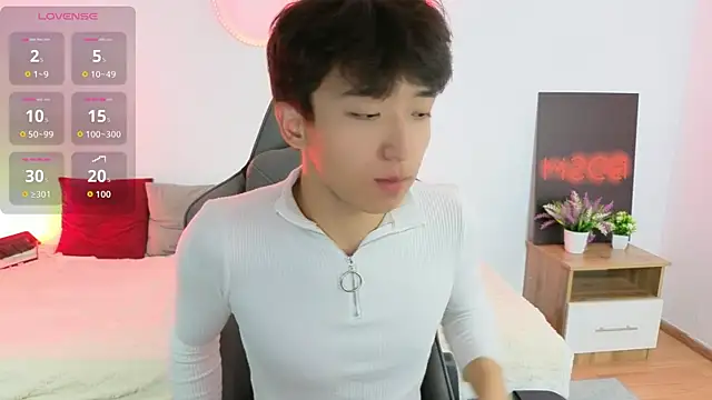 DianInav 웹캠 쇼