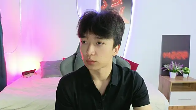 DianInav 网络视讯表演