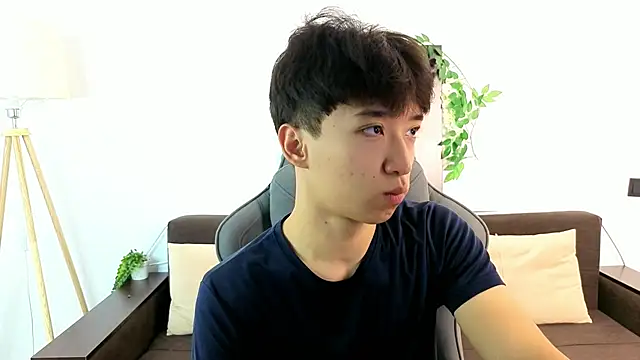 DianInav 网络视讯表演