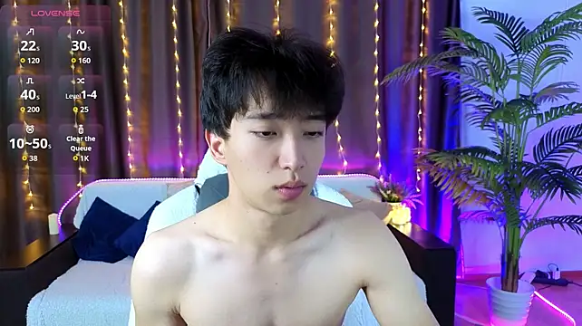DianInav 网络视讯表演