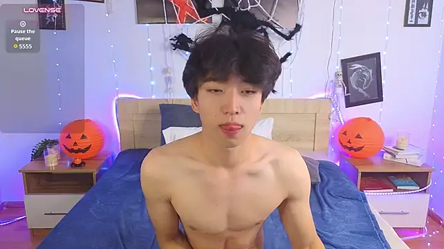 DianInav webcam show