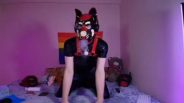 K9_GoodBoyのウェブカメラショー