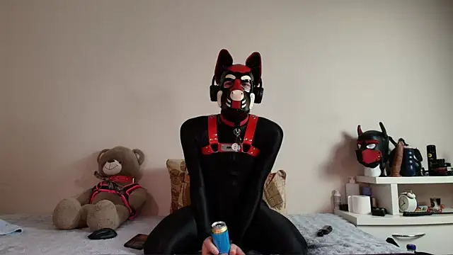 Show de K9_GoodBoy na webcam