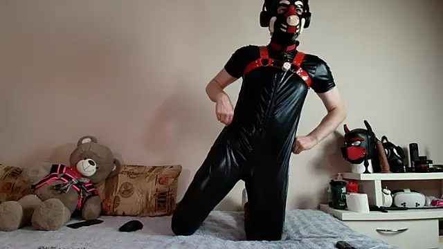 K9_GoodBoy: вебкам-шоу