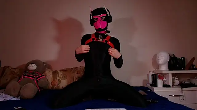 K9_GoodBoy Show in webcam