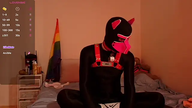 K9_GoodBoy webkamerás műsora