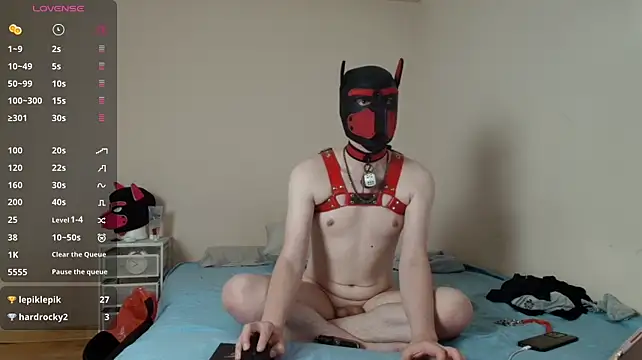 K9_GoodBoy – Kamerová šou