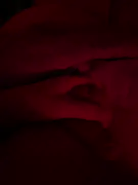 Show webcam de shark822