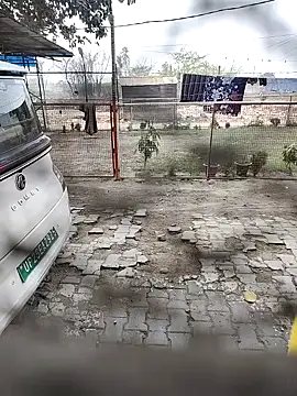 rural- 网络视讯表演