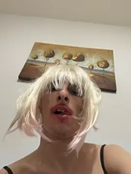 Show Webcam de Vaccachecola