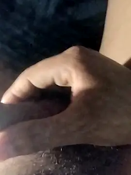 taherDzzf 在線直播表演