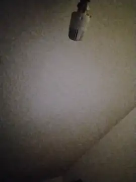 InferredPloce webcam show
