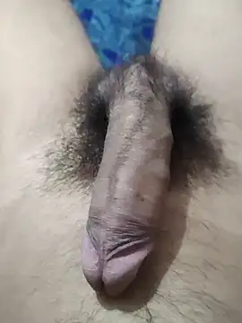 Show de samsid2112 na webcam
