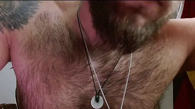 Show webcam de DominanThewolff