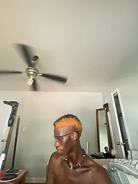 BBCSilace01 Webcam Show