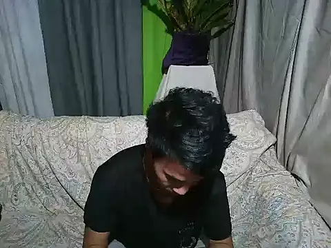 Show webcam de Notacon26