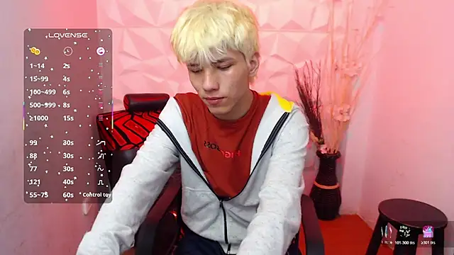Stich_23 Show Webcam