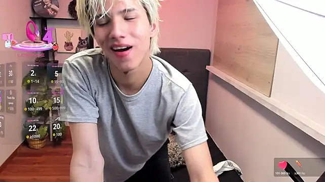 Stich_23 Show Webcam