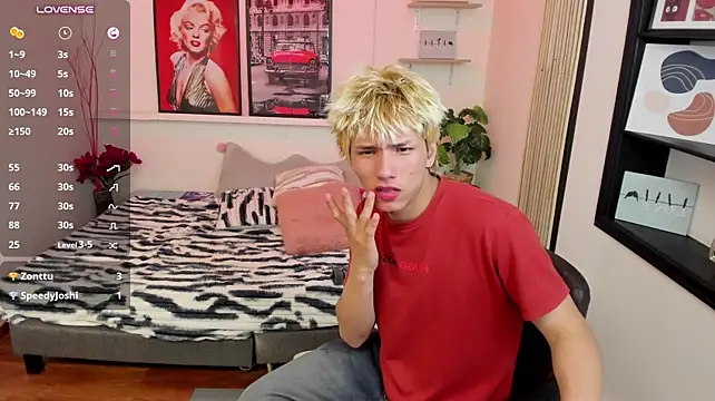 Stich_23 Show Webcam