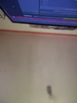 Channel_Connor webkamerás műsora