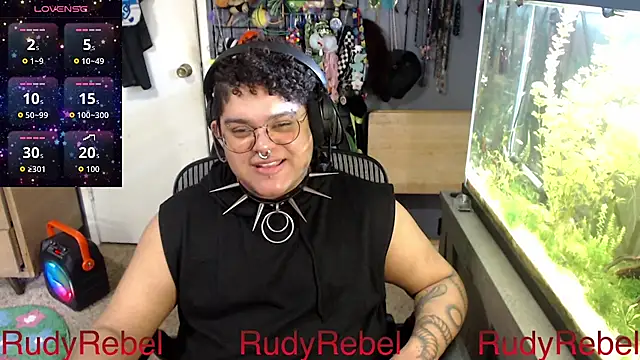 RudyRebel's Webcam Show