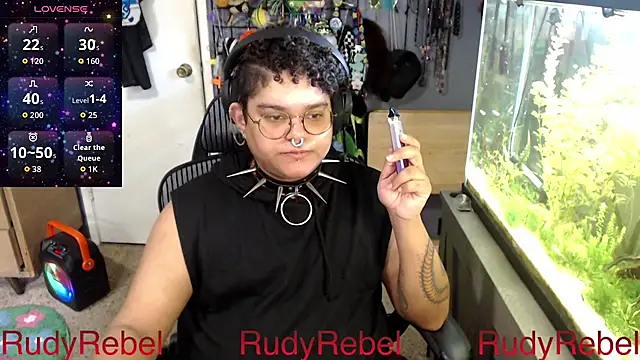 RudyRebel Show Webcam