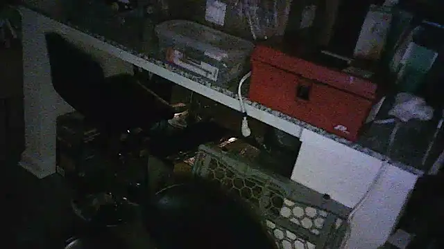 Show webcam de TXRyan1996
