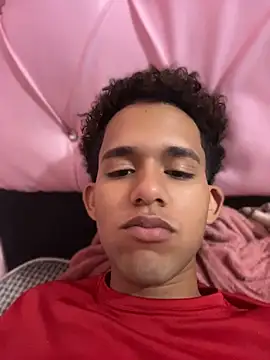 Stickmendez Pertunjukan Webcam