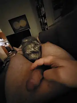 swecockjerkingoffn Webbikameraesitys