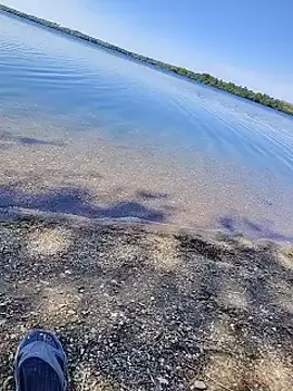 Atosz01 Pertunjukan Webcam